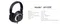 AH-02K Vigoroso Hi-Res Over-ear Headphone
