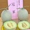 【福興青農】陳照委-*預購*阿露斯哈密瓜 溫室網紋洋香瓜禮盒(新版精緻禮盒)(含運)