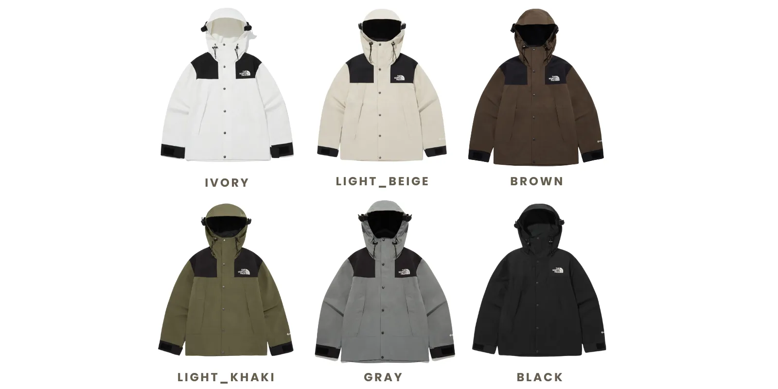 THE NORTH FACE M