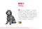 ROYAL CANIN法國皇家．BHN品種訂製系列【PDA貴賓成犬】1.5公斤(原PRP30)