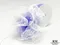 PO-L4 超可愛_蕾絲雪紡魔法手拉花緞帶 55mm  (PO-L4 PULL BOW RIBBON 55mm )