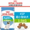 ROYAL CANIN法國皇家．SHN健康體型犬系列【XSP超小型幼犬】1.5公斤(原XJ31)