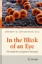 In the Blink of an Eye: The Deadly Story of Epidemic Meningitis