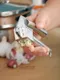 【缺貨】WMF Profi Plus Garlic press 不鏽鋼壓蒜器 #1871636030