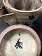 手繪藍櫻花茶壺-日本製