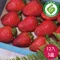 戀上甜美-產履新鮮草莓(400g12顆X3盒)★產銷履歷★免運組★