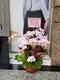 B1-30│蘭花盆栽│新北市花店│蘆洲花店│榮升誌慶│喬遷之喜│開幕誌慶│過年送禮│訂花│送花