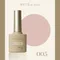 ARTiS di Voce 彩色甲油膠8g 005