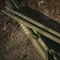 [ CARGO ]  伸縮營柱2入3000mm-黑色/沙色/軍綠｜露營營柱 鋁合金6063營柱 3秒安裝 八角形設計 (附收納袋)