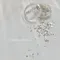 NOVEL Cullet crash miv