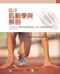 臨床肌動學與解剖(Clinical Kinesiology and Anatomy)(P)