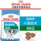 ROYAL CANIN法國皇家．SHN健康體型犬系列【MNP小型幼犬】4公斤(原APR33)