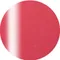 ageha gel Opti Color 彩色凝膠2-12