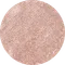 ARTiS di Voce 彩色甲油膠 GL 14