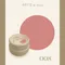 ARTiS di Voce 彩色凝膠2g 008