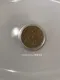 Palette Carys flash glitter  晶鑽閃光粉 - 香檳淺金