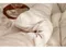 韓製寢具MAATILA－Doze 60支高密度純棉內刷毛棉被：淺米色！