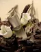 ARTiS di Voce x TOY's × INITY 香氛滋潤指緣油10ml  - 六道木