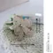 A1555 蕾絲蝴蝶結人造絲配件 2入/組  (Lace Bow Décor)