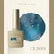 ARTiS di Voce 貓眼甲油膠8g CE100