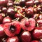 美國加州紅櫻桃禮盒｜Juicy Jewel 就是這 精品水果禮盒