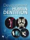 (預購)Development of the Human Dentition