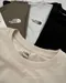 <部分現貨供應> THE NORTH FACE  COTTON BASIC S/S R/TEE 純棉基礎 LOGO 短袖  五色