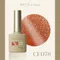 ARTiS di Voce 貓眼甲油膠8g CE078