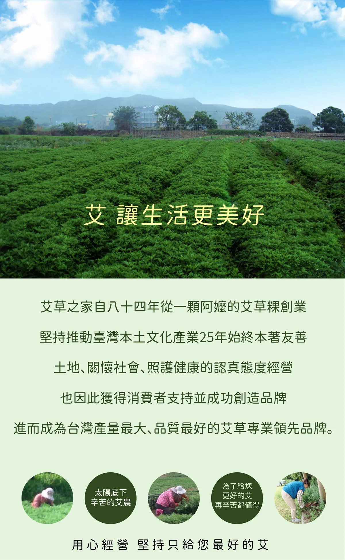 艾草之家 艾農生物科技有限公司 購物網站 Shopping