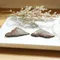 【絕版】超光鐵隕石切片10~12g