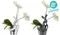 ALESSI 幾何水果籃(白) STANZA DELLO SCIROCCO BOWL #MT01 W