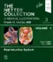 The Netter Collection of Medical Illustrations Volume 1: Reproductive System