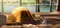 [ Coleman ]  上拉式快搭圓頂帳S  SOLO CAMP / CM-39089 快速帳