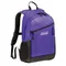 [ Coleman ] 健行者15L-紫羅蘭/天空藍｜WALKER健行者背包系列  CM-38991 後背包 登山包