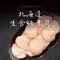[優選海鮮] 2L級北海道生食級干貝