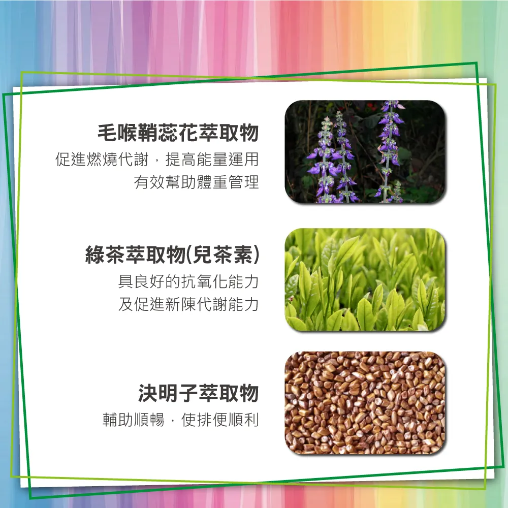 綠恩兒茶素EXX版
