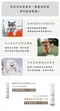 寵物乾洗澡噴霧