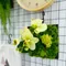 榆果綠蝴蝶蘭擬真植生框