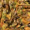 【Lauren Wan 設計師｜網購獨家】Sunlit Garden 暖陽花落系列：光影印象花海・質感印花布 (棉布/2色)