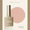 ARTiS di Voce 彩色甲油膠8g 042