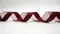 K1677 半緞半紗緞帶 38MM(K1677 Half Sheer Half Satin Ribbon -38MM)