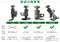 台灣TAKEWAY單機版極限運動鉗式萬向球形夾具HAWK1(防盜版;1/4"螺牙;附GoPro轉接座)適運動攝影機固定座&摩托車重機車夾
