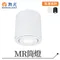 【鹿屋燈飾】舞光 MR筒燈LED-25001