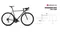 【ARGON18】GALLIUM 鈦銀亮光版 碳纖維公路自行車