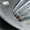 SIiSA 銀桿凝膠筆