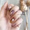 NOVEL Champagne pink brion mix 1212