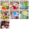PR1709 蝴蝶印刷缎帶 16mm  (PR1709 Butterfly Print Ribbon -16mm )