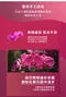 蝴蝶蘭皂200g｜素顏之本｜洗手｜洗臉｜洗澡｜台灣蘭花｜蘭花之后｜花青素｜不緊繃｜香氛｜肥皂