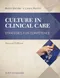 Culture in Clinical Care: Strategies for Competence