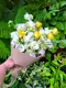 A1-39│情人節花束│新北市花店│蘆洲花店│花束│花店│訂花│送花